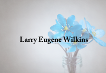 Obituary: Larry Eugene Wilkins