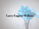 Obituary: Larry Eugene Wilkins