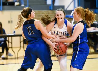 PREP BASKETBALL: Cold Springs cruises past Hatton 49-33 to advance to Northwest Regional Finals