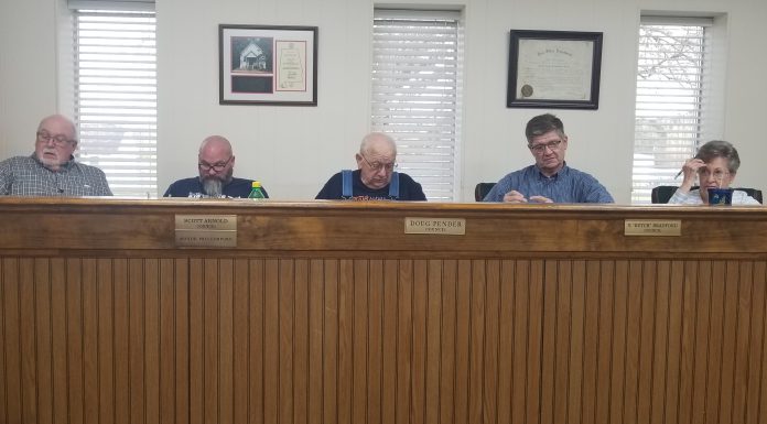 Garden City councilman voices displeasure with commission spending on Rock the South preparations 20190318_174338.jpg