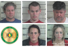 5 arrested, 24 grams meth seized by Cullman Sheriff’s deputies 31319.png