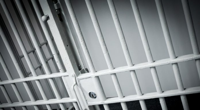 Arrests and incidents reported on March 1, 2019 arrest_report.jpg