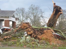 NWS: EF1 tornado with 105 mph winds caused damage in White City, Holly Pond