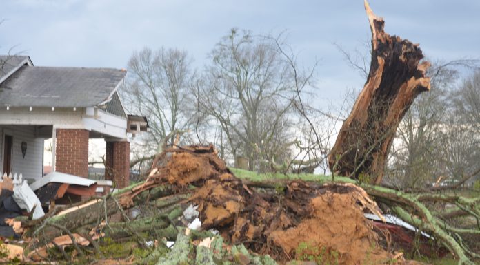 NWS: EF1 tornado with 105 mph winds caused damage in White City, Holly Pond