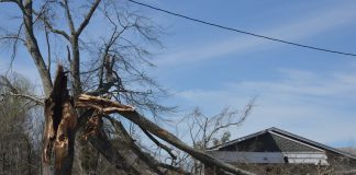 (Update) NWS: EF1 tornado with 105 mph winds caused damage in White City, Holly Pond dsc_0260.jpg