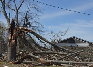 (Update) NWS: EF1 tornado with 105 mph winds caused damage in White City, Holly Pond dsc_0260.jpg