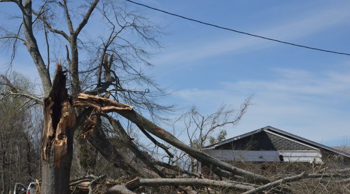 (Update) NWS: EF1 tornado with 105 mph winds caused damage in White City, Holly Pond dsc_0260.jpg
