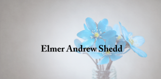 Obituary: Elmer Andrew Shedd elmer_andrew_shedd.png