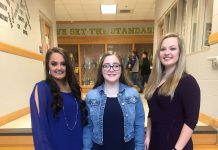 Fairview pageants set for March 8-9 fairview_fair_queen_pageant_.jpg