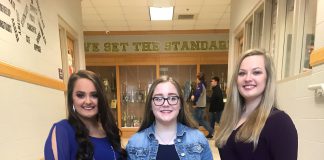 Fairview pageants set for March 8-9 fairview_fair_queen_pageant_.jpg