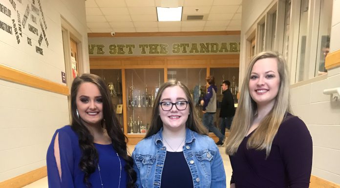 Fairview pageants set for March 8-9 fairview_fair_queen_pageant_.jpg