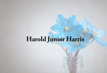 Obituary: Harold Junior Harris harold_junior_harris.png