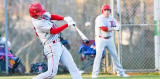 CULLMAN COUNTY BASEBALL TOURNAMENT: Day 1 recap; Hanceville, Vinemont, Fairview advance to semi-finals
