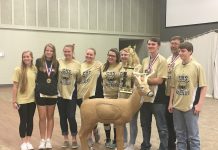 ARCHERY: Cullman High, Cullman Middle, Vinemont Elementary win titles at Alabama State 3D/IBO Tournament