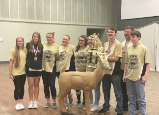 ARCHERY: Cullman High, Cullman Middle, Vinemont Elementary win titles at Alabama State 3D/IBO Tournament
