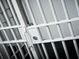 Arrests and incidents reported Nov. 22 jail.jpg