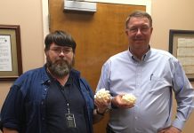 Cullman City Hall sees hail…sort of Tribune reporter W.C. Mann presenting 3D printed hailstone models to Mayor Woody Jacobs Thursday afternoon.