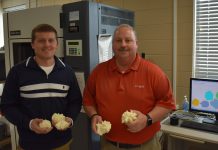 Tribune and Wallace State produce permanent memento of 2018 Hail Storm