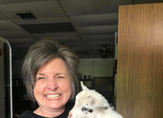 Goat yoga a hit at Cullman Library