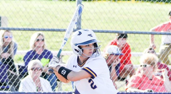 PREP SOFTBALL/BASEBALL: Ball’s walk-off homer lifts Fairview over Ashville; Tuesday scoring wrap-up