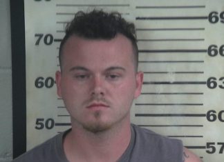 Trafficking bust nets more than 30 guns, $30K, 15 lbs. of pot