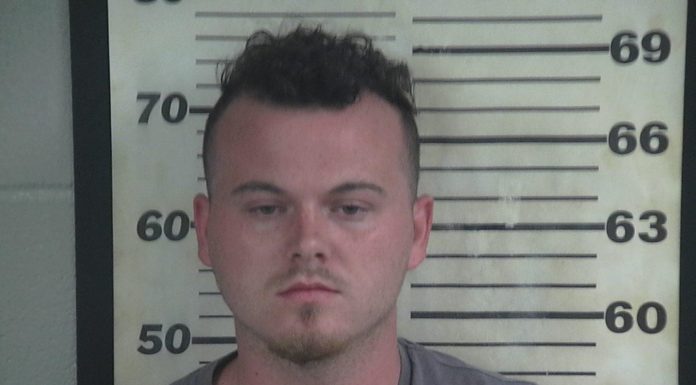 Trafficking bust nets more than 30 guns, $30K, 15 lbs. of pot