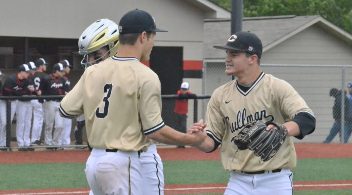 PREP BASEBALL PLAYOFFS: Bearcats advance after sweeping Albertville, Fairview and Cold Springs fall on the road