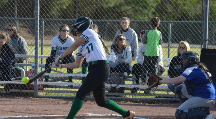 PREP SOFTBALL: 2019 Cullman County Softball Tournament gets underway next week