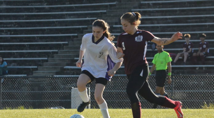 PREP SOCCER: Lady Warriors top Danville at home 5-1