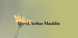 Obituary: David Arthur Mauldin
