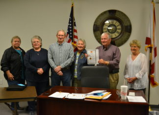 Holly Pond neutral on ‘Project X’; April 1 council notes