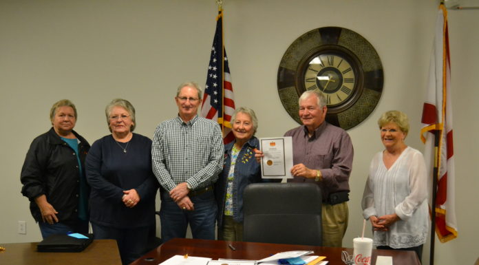 Holly Pond neutral on ‘Project X’; April 1 council notes