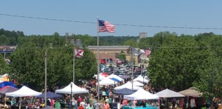 Strawberries and sunshine: Strawberry Festival this Saturday; Senior Shindig Friday morning