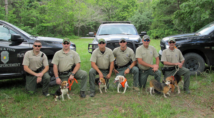 WFF Enforcement K9 Unit a different breed