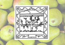 67-County Alabama Garden Party: Marengo County