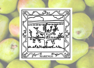 67-County Alabama Garden Party: Marengo County