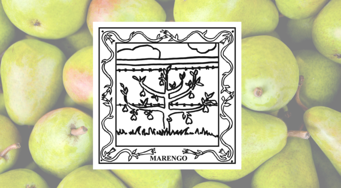 67-County Alabama Garden Party: Marengo County