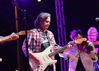 2019 Strawberry Festival sees record attendance