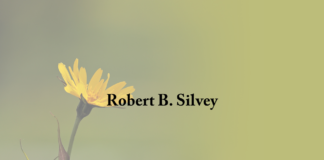 Obituary: Robert B. Silvey