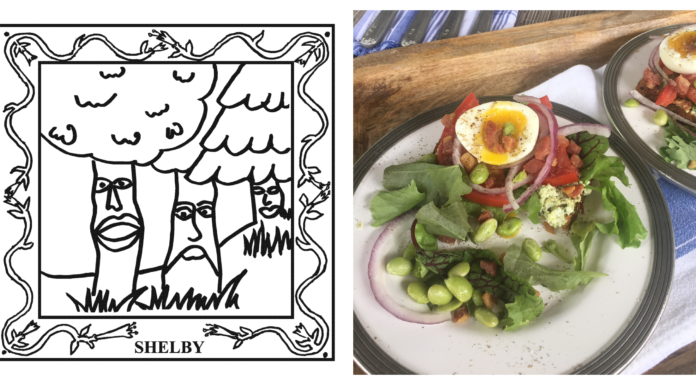 67-County Alabama Garden Party: Shelby County