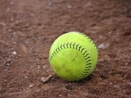 PREP SOFTBALL: Lady Warriors knock off 10th-ranked Huntsville at home, Cold Springs wins on the road