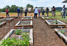 Wallace State feeding folks and helping folks feed themselves
