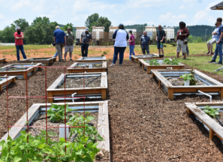 Wallace State feeding folks and helping folks feed themselves
