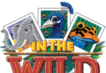 Vacation Bible School programs kicking off around the county