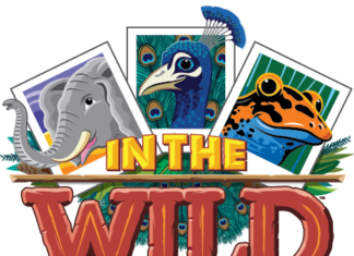 Vacation Bible School programs kicking off around the county