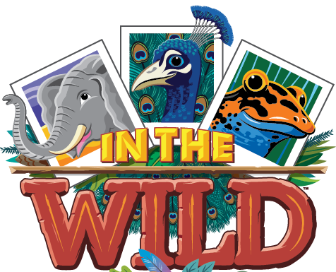 Vacation Bible School programs kicking off around the county