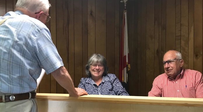 Vinemont Council mulls half-cent sales tax increase