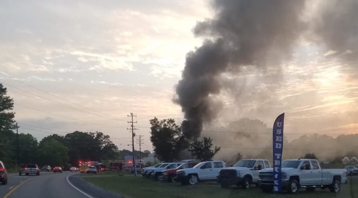 Fire damages Sunflour Bakery