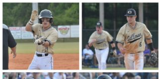PREP BASEBALL PLAYOFFS: ‘Cats headed back to Montgomery after sweeping Hueytown on the road