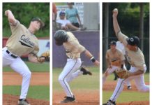 PREP BASEBALL PLAYOFFS: ‘Cats preparing to take on Chelsea in 6A State Championship Series